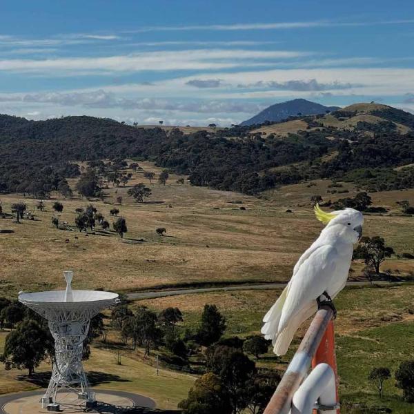 25-year structural assessment on Canberra Deep Space Communication Complex